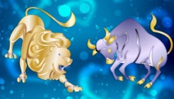 Sign compatibility Taurus + Leo in love and friendship